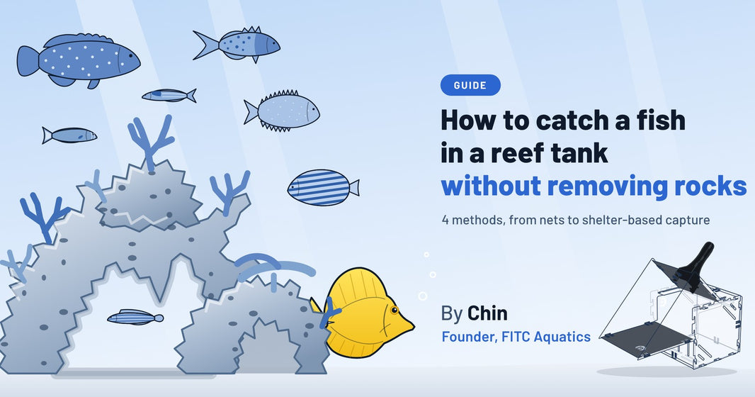 Guide cover: How to catch a fish in a reef tank without removing rocks, with reef fish above arched rockwork and a drawing of the AquaCove